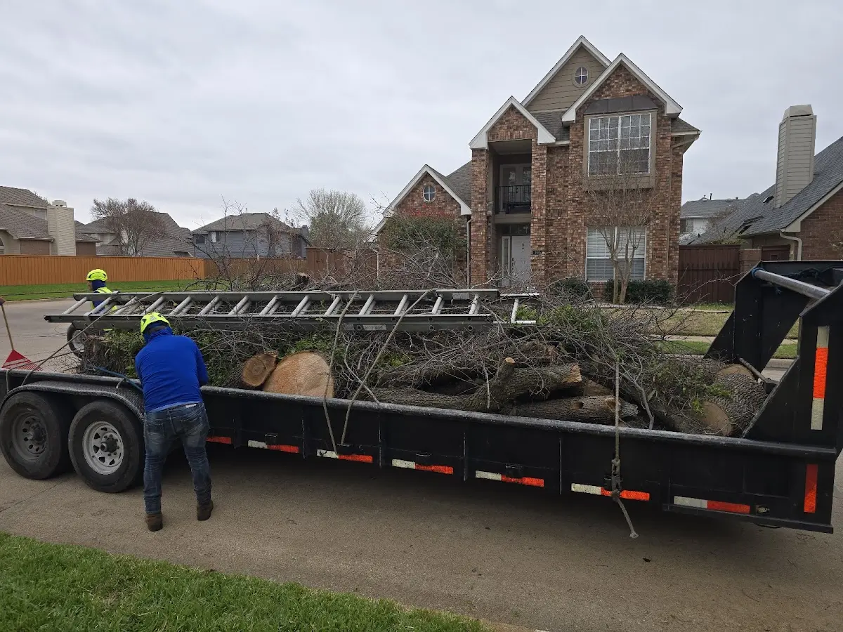 Expert Tree Pest Control with proper safety equipment in Firebaugh